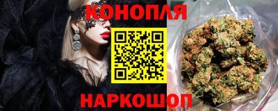 дмт Будённовск