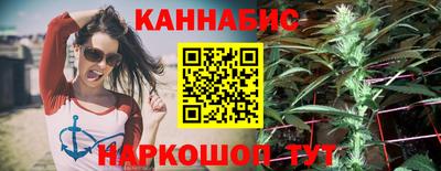 дмт Будённовск