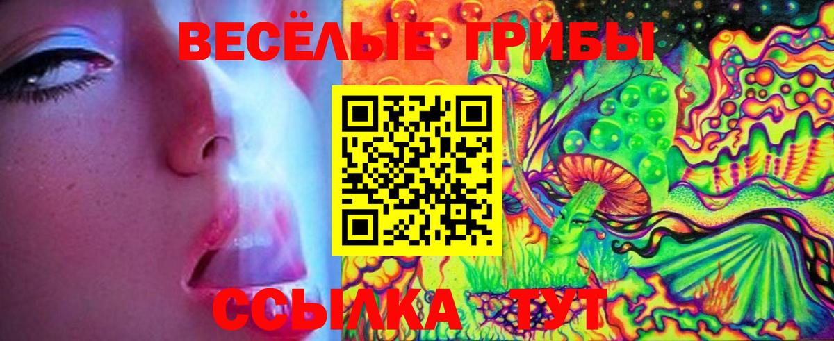 Славгород  Псилоцибиновые грибы MAGIC MUSHROOMS  Вход с VPN  Галлюциногенные грибы мухоморы 