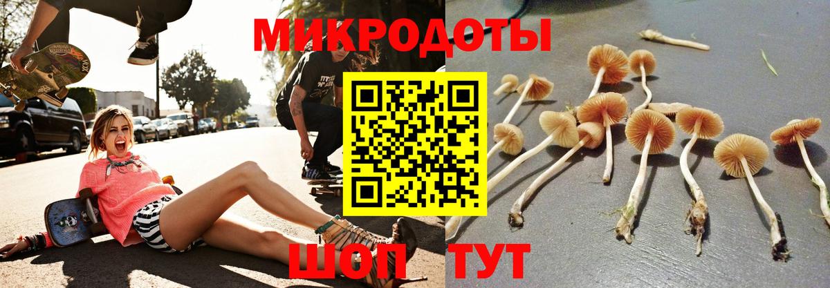 Галлюциногенные грибы MAGIC MUSHROOMS Славгород